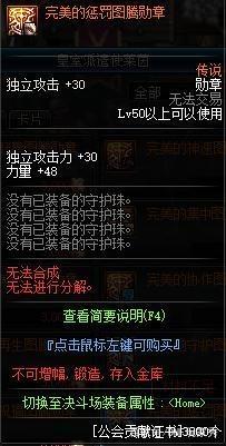 地下城私服-与勇士私服空战：一个跨越平台的ARPG游戏340